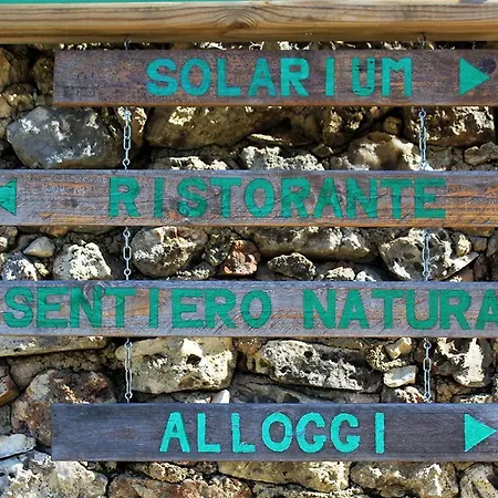 Fara Del Falco
