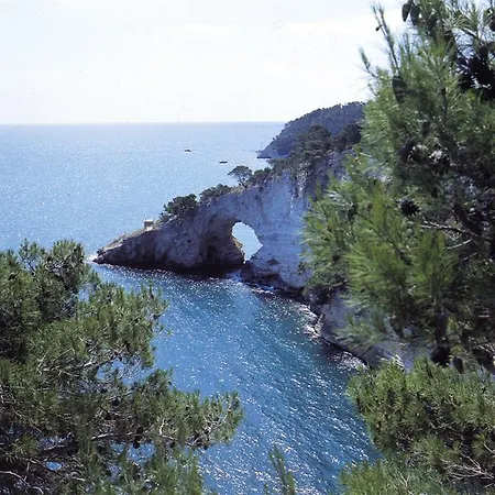Fara Del Falco *